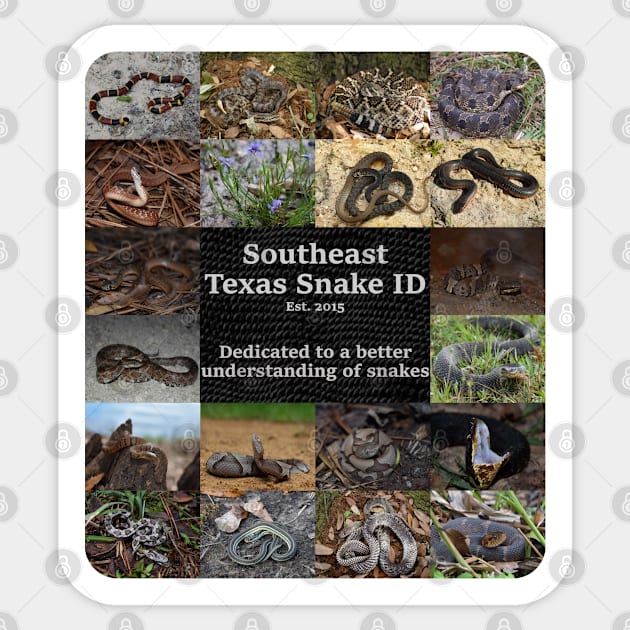 Southeast Texas Snake ID Sticker by Paul Prints